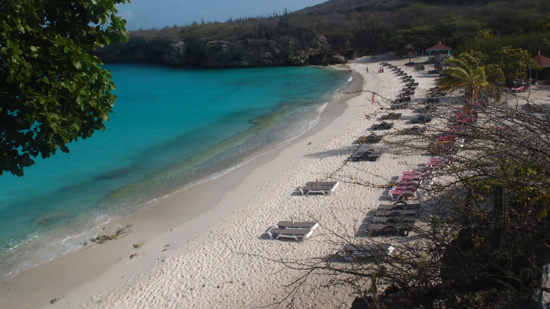 2022-04-15 Grote Knipp (am Strand und im Wasser) (Foto, Video)